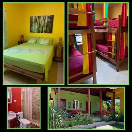 Green Queendom Farm And Lodging Oracabessa Luaran gambar