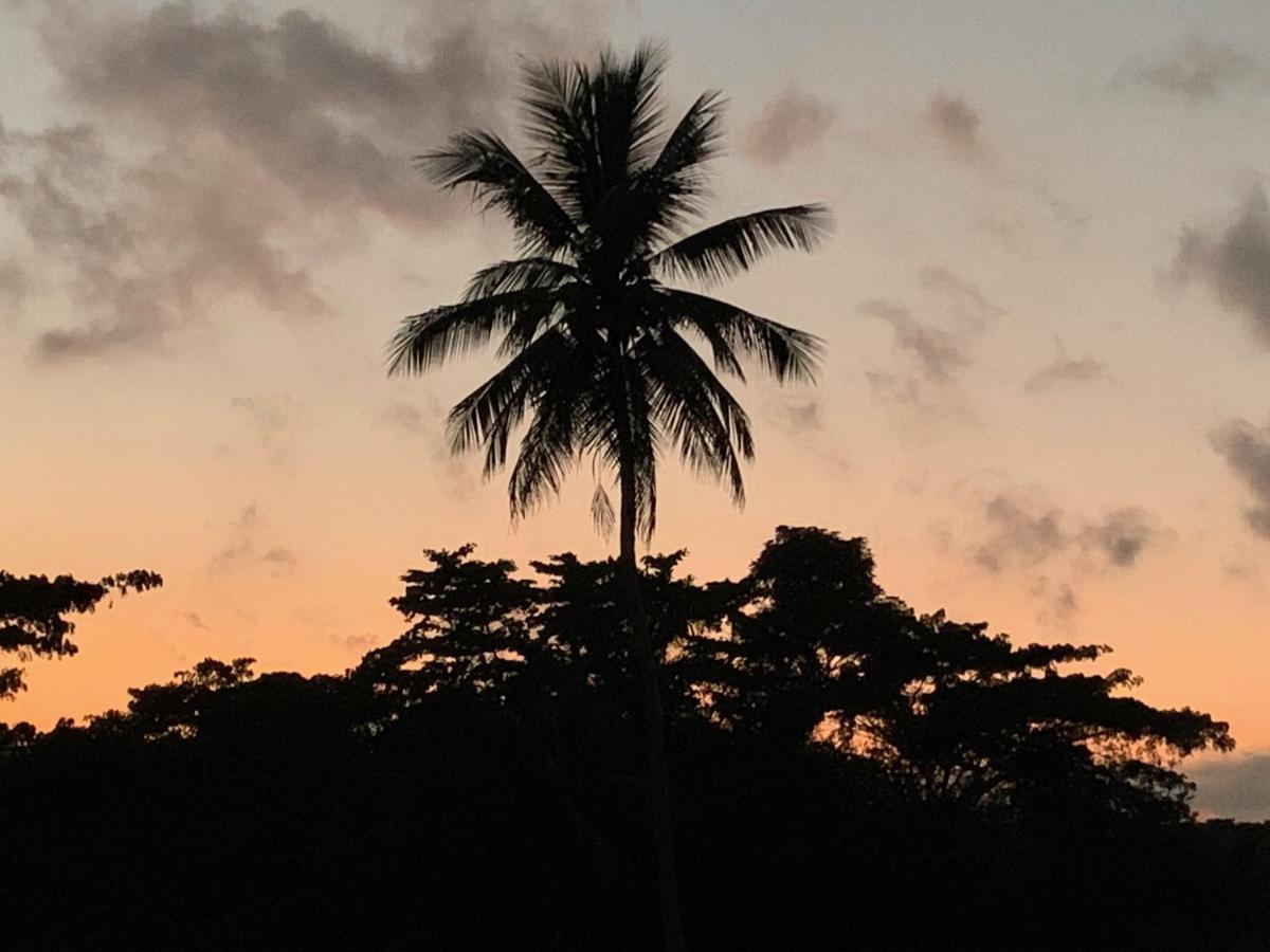 Green Queendom Farm And Lodging Oracabessa Luaran gambar