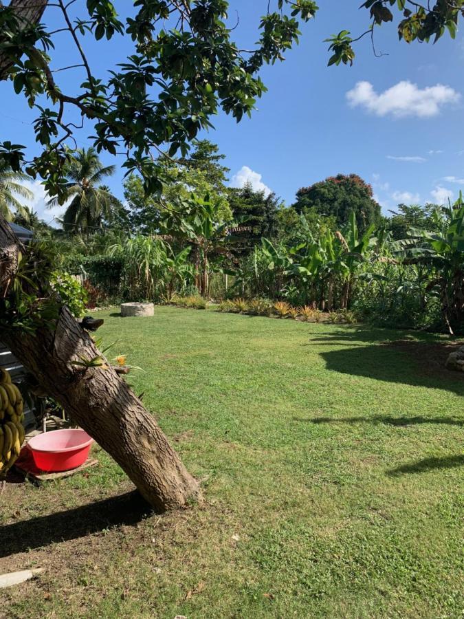 Green Queendom Farm And Lodging Oracabessa Luaran gambar