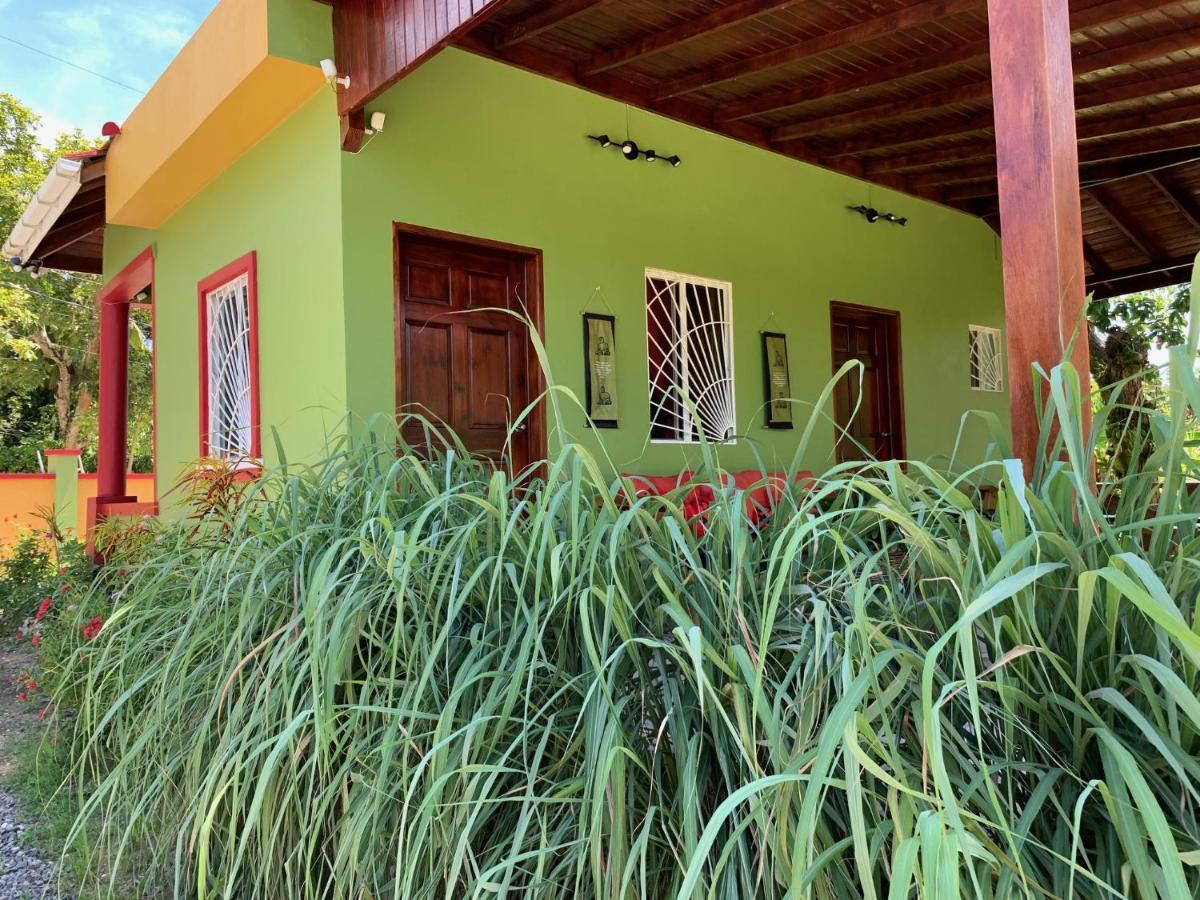 Green Queendom Farm And Lodging Oracabessa Luaran gambar